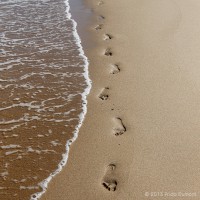 /album/mer/frida-dumont-img-0968-jpg/